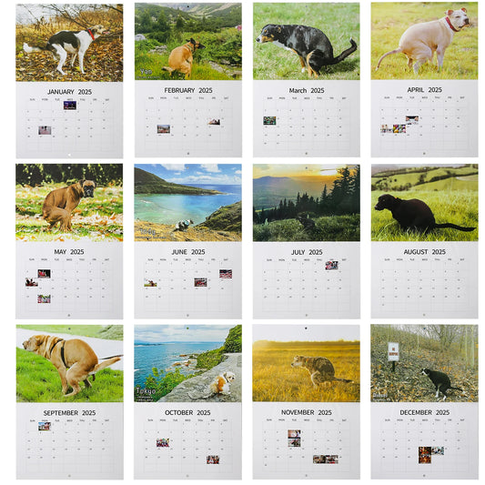 💩Calendrier "Dogs pooping in beautiful places"💩