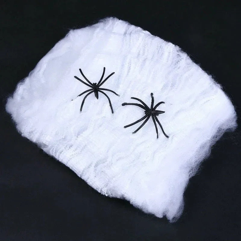 🕸️🕷️Toiles d'araignées🕷️🕸️