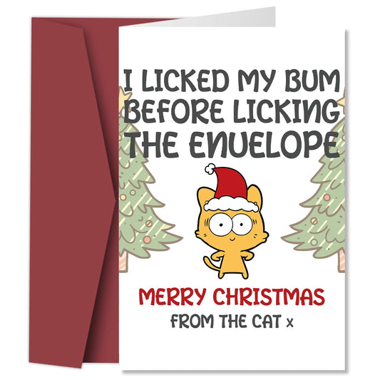 🐈Carte de Noël chat🐈