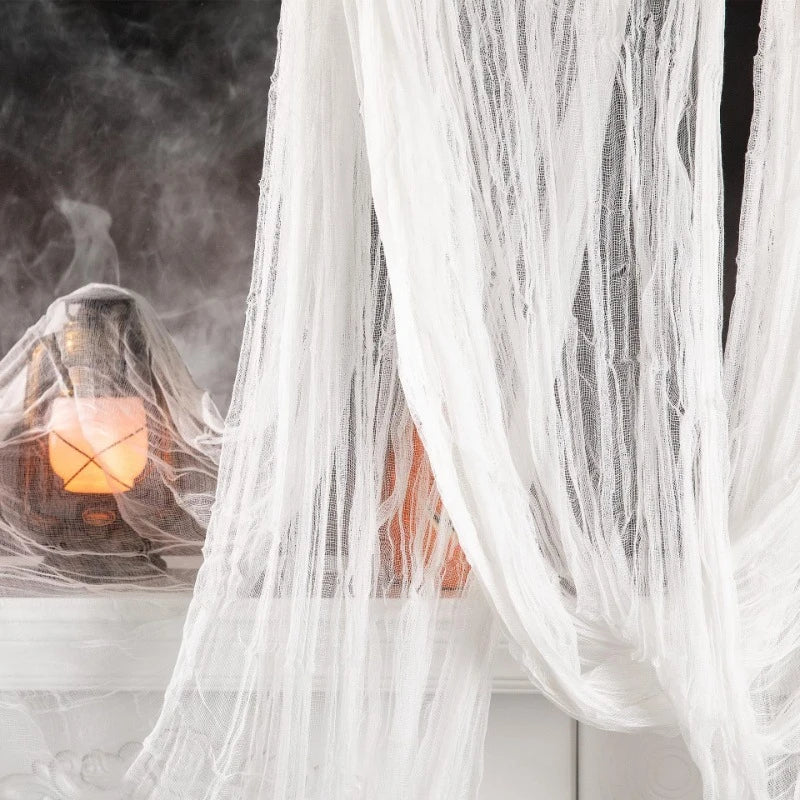 🕸️Toiles effilochées🕸️