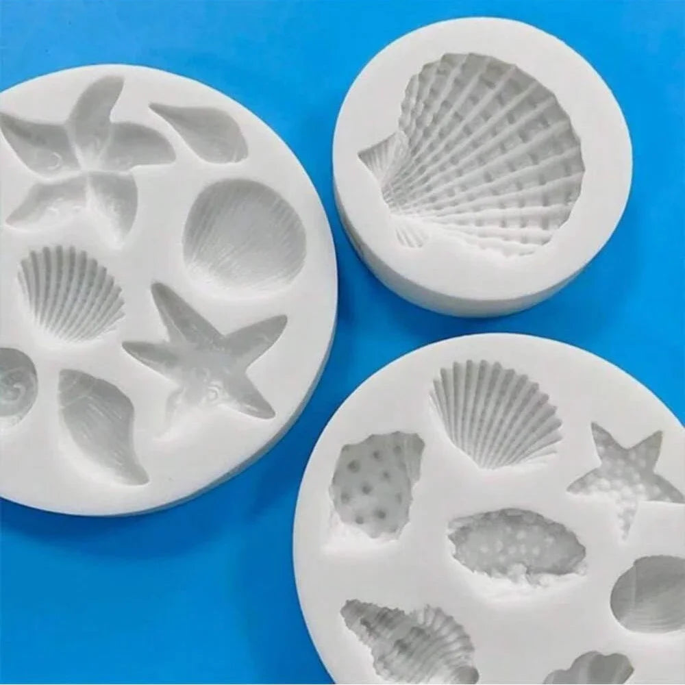 🐚Moule seashell🐚