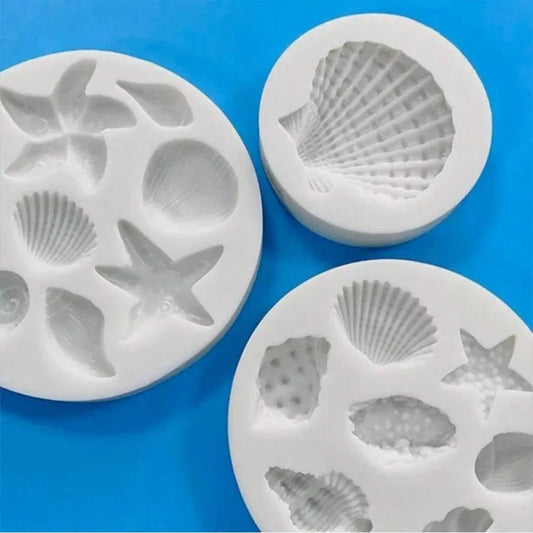 🐚Moule seashell🐚