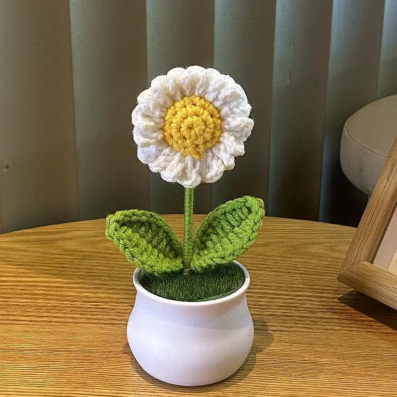 💐Fleurs crochetées💐