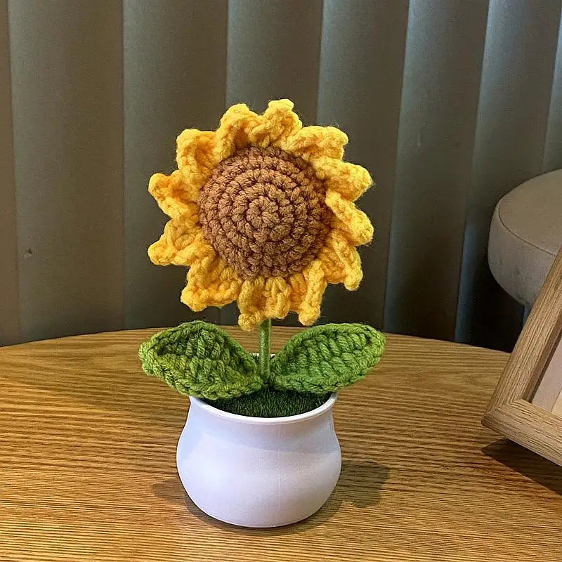 💐Fleurs crochetées💐