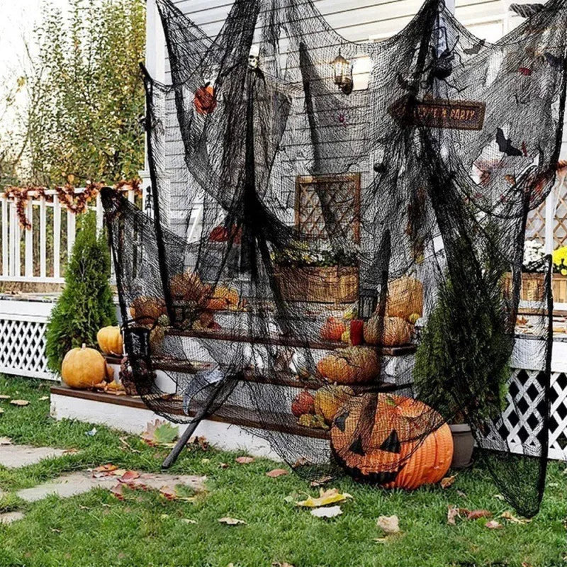 🕸️Toiles effilochées🕸️
