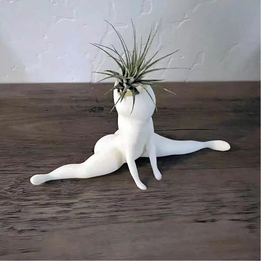 🏺Vase Grand Écart 🏺