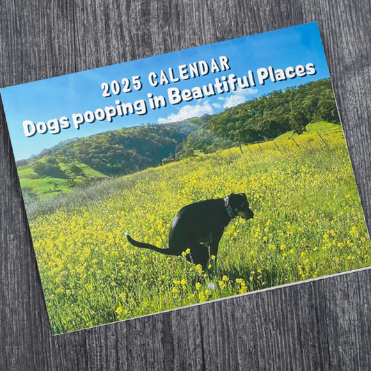 💩Calendrier "Dogs pooping in beautiful places"💩
