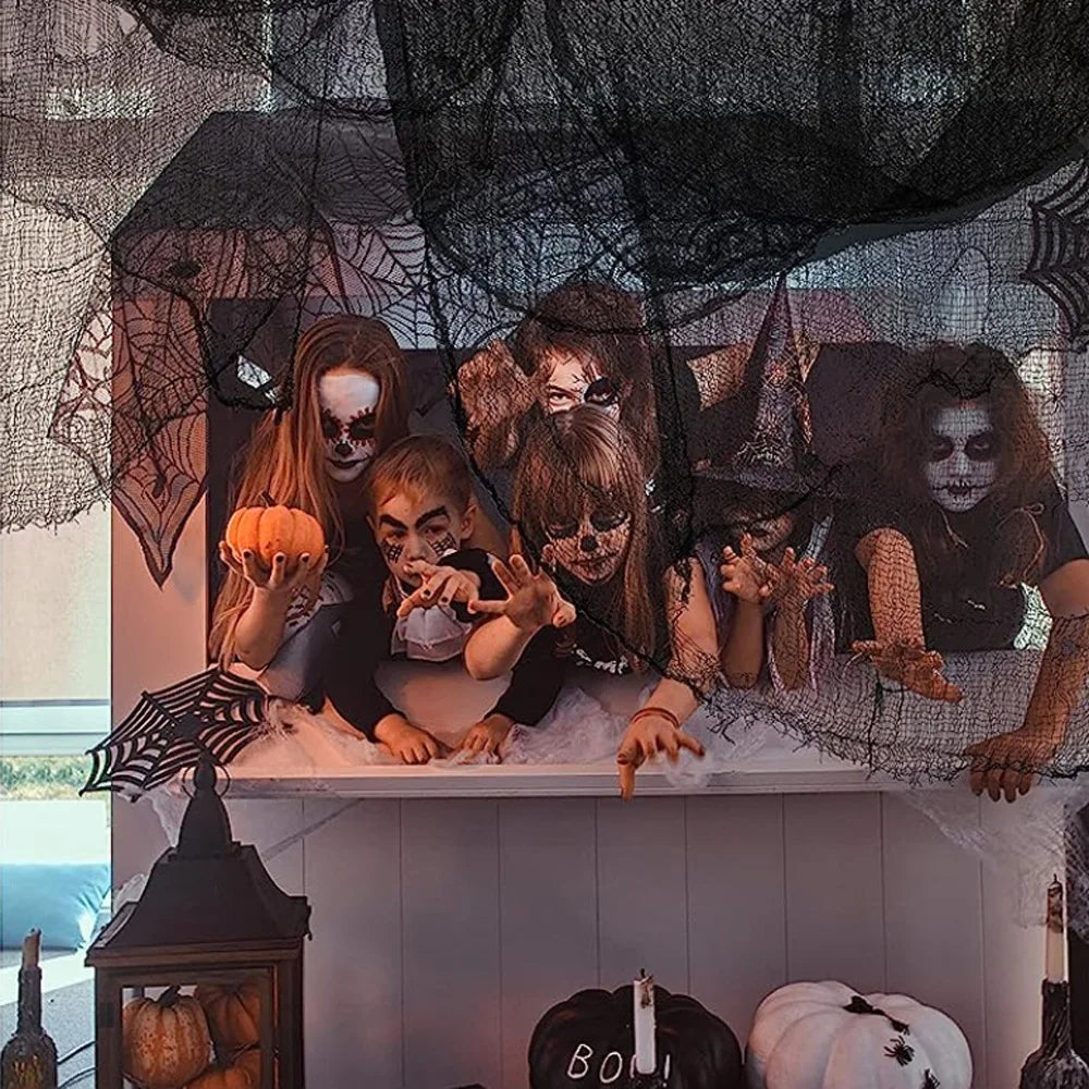 🕸️Toiles effilochées🕸️