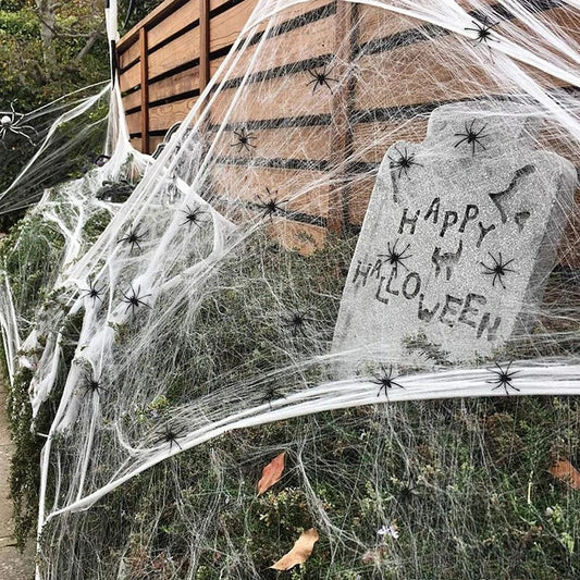🕸️🕷️Toiles d'araignées🕷️🕸️