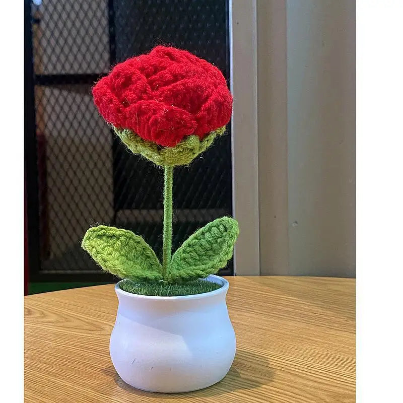 💐Fleurs crochetées💐