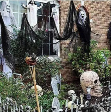 🕸️Toiles effilochées🕸️