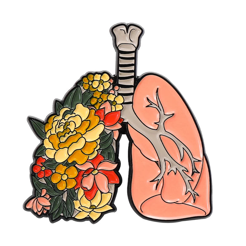 🩻Pins anatomie🩻