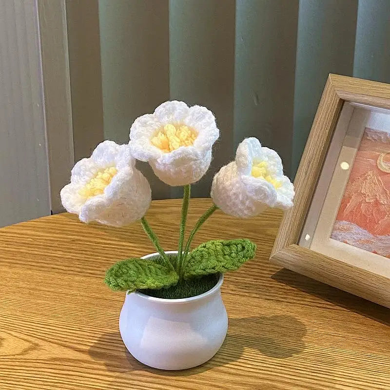💐Fleurs crochetées💐