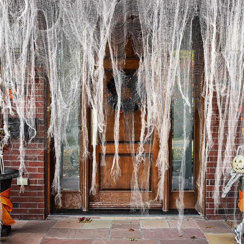 🕸️Toiles effilochées🕸️