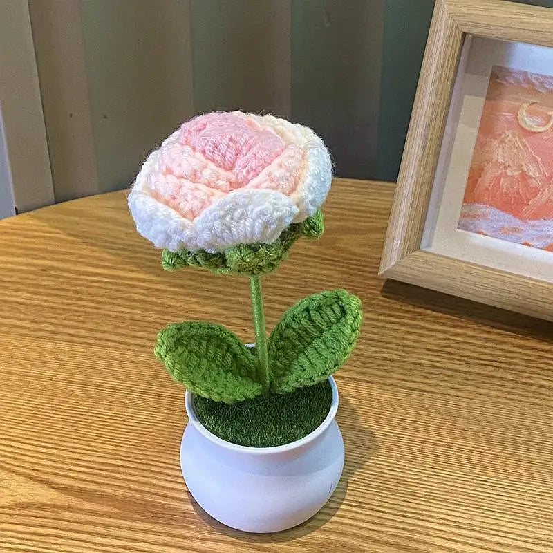 💐Fleurs crochetées💐
