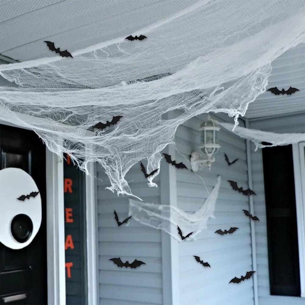 🕸️Toiles effilochées🕸️