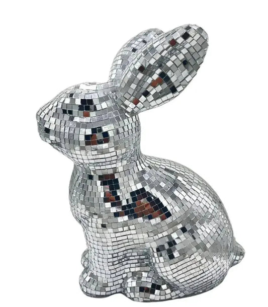 🐰Disco Bunny🐰